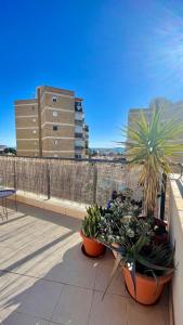 Terrazas del Mediterraneo