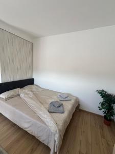 S&M apartman FREE PARKING