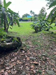 Casa Grande Pura Vida