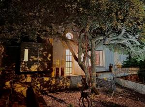 B&B / Chambres d'hotes Le cabanon du Faron une chambre d hote dans un jardin : photos des chambres