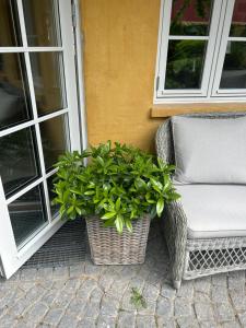 Vidunderligt hus med gårdhave - midt i centrum Brettevillesgade 16 A