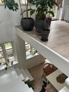 Vidunderligt hus med gårdhave - midt i centrum Brettevillesgade 16 A