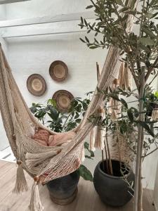 Vidunderligt hus med gårdhave - midt i centrum Brettevillesgade 16 A