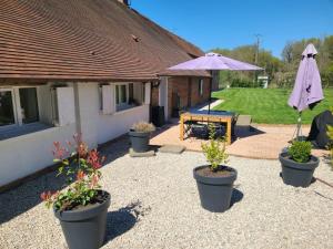 Maisons de vacances Gite en Sologne au calme avec etang, proche d'Orleans et chateaux, ideal randonnees et peche - FR-1-590-242 : photos des chambres
