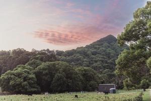 Luxe nature escape - outdoor bath - Byronshire