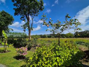Maisons de vacances Holiday Home in Plourivo near Goelo Coast : photos des chambres