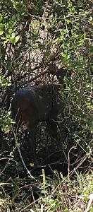 Runa, Marcos de los Reyes villa serrana