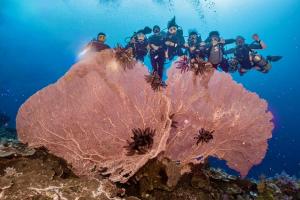 Sanctum Una Una Eco Dive Resort