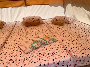 Casa Nordica - Rooms, Camping, Hammocks