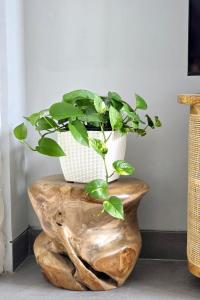 Villa Mannah - Managed By Chayah Bali Villa Group