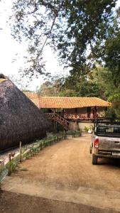 Itsalifestyle Jungle Cabana