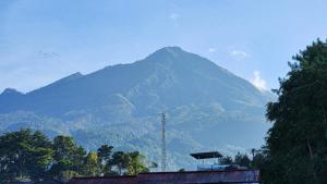Sejuk Village