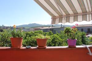 B&B Is Janas E5391 img34