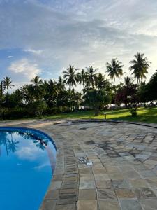 Golden Sun-Fisherhut