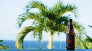 Blue Haven Guesthouse