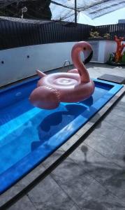 Ocean Private Pool Homestay Ipoh 海洋风情泳池民宿 14px（Wellsonhome）