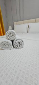 Central Condo in Tirana