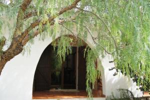 Villa Acquario img41