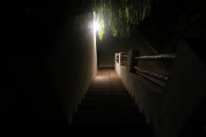 Villa Acquario img15