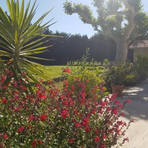 B&B / Chambres d'hotes Chic et nature : photos des chambres