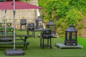 Chuncheon Puppy Day Dog Pension