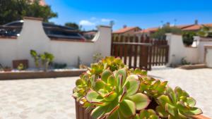 Casa SArchitteddu-Coastal Escape