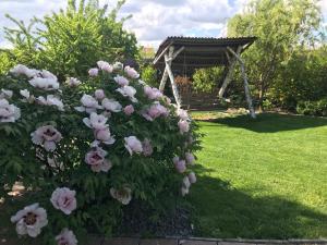 Villa del Grossa Будинок з каміном та чаном на дровах