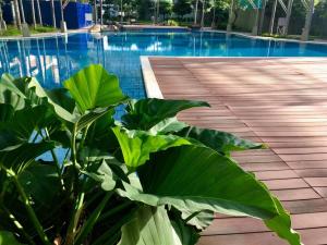 Condo Free Pool Fast Wi-fi near BGC, C5