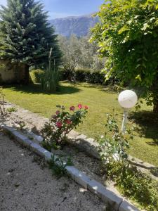 B&B / Chambres d'hotes La tonnelle : photos des chambres