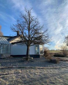 Spacious farmhouse with a greenhouse on Österlen