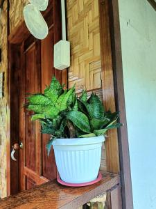 A. Zaragosa Lodging House