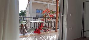 Bougainvillea Apartment Spacious Family Home in Zakynthos Town