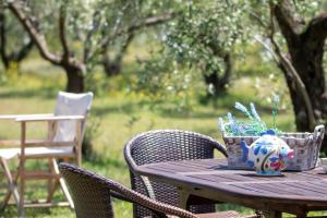 ZeusPlace Olympus Olive Country House 2