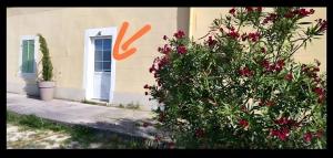 Appartements Joli studio romantique a St Zach : photos des chambres