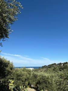 Villa Loredana