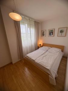Murano Apartaments Elektoralna 12A