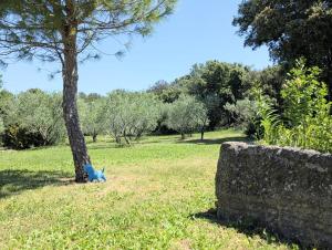 Villas L'Escargolette - Incroyable maison de vacances 4 etoiles : photos des chambres