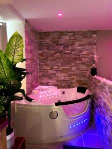 Appartements Le Repere des ames Amoureuses : photos des chambres