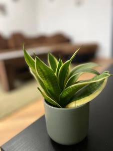 Sofia Harmony Apartment