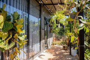 Bơ Trên Đồi Homestay