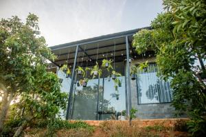 Bơ Trên Đồi Homestay