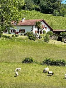 B&B / Chambres d'hotes Ameztoia XVe siecle chambres d-hotes Navarraises : photos des chambres