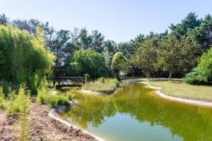 Maisons de vacances Superb Mas provencal - swimming pool - tennis - park : photos des chambres