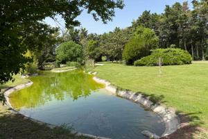 Maisons de vacances Superb Mas provencal - swimming pool - tennis - park : photos des chambres