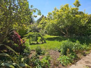 The Robin House in Ravelston