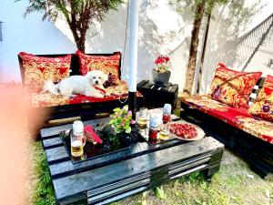 Artists Guest House