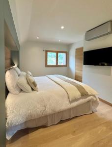 Duplex à 100mètres du lac et de la piste cyclable dAnnecy - Vue panoramique