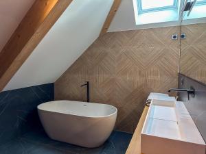 Duplex à 100mètres du lac et de la piste cyclable dAnnecy - Vue panoramique