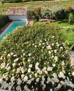 Villas Calme et piscine au coeur du Luberon : photos des chambres