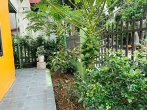 Xưa Homestay 2 Ninh Bình